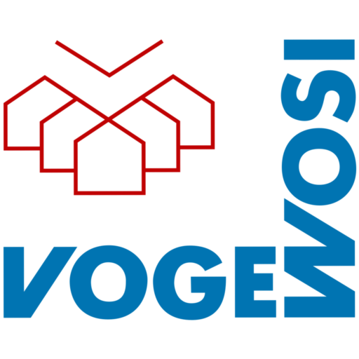 VOG - Logo